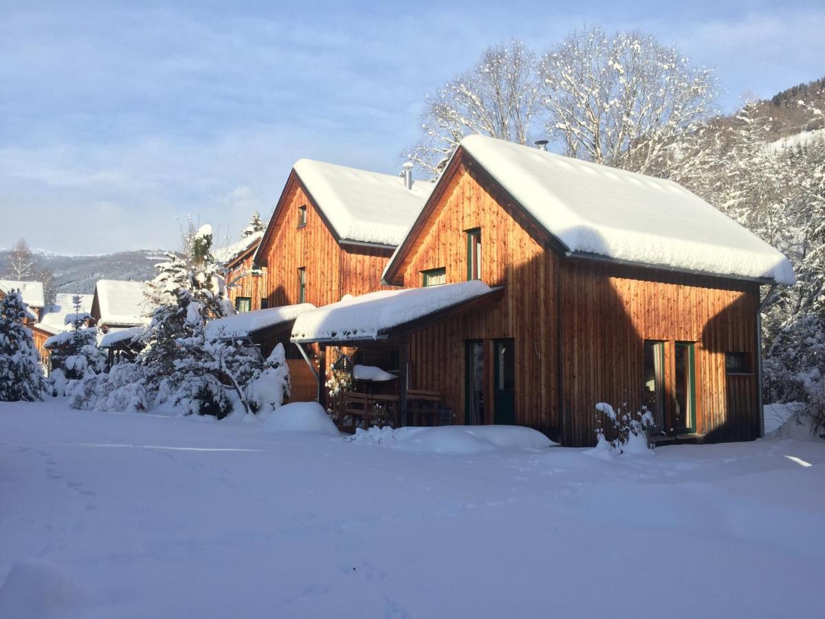 Alpenferienhaus Kreischberg Sankt Lorenzen ob Murau Εξωτερικό φωτογραφία