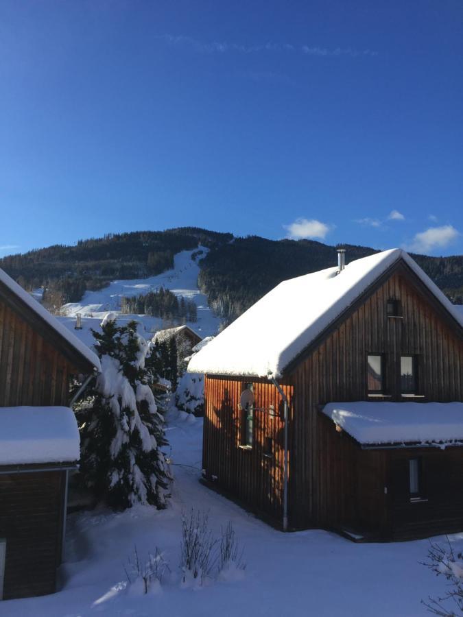 Alpenferienhaus Kreischberg Sankt Lorenzen ob Murau Εξωτερικό φωτογραφία