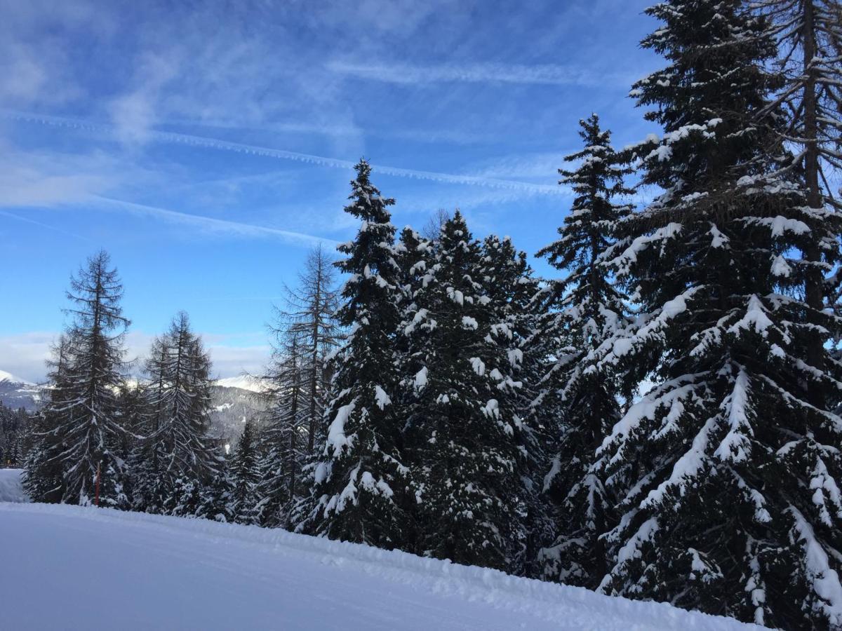 Alpenferienhaus Kreischberg Sankt Lorenzen ob Murau Εξωτερικό φωτογραφία