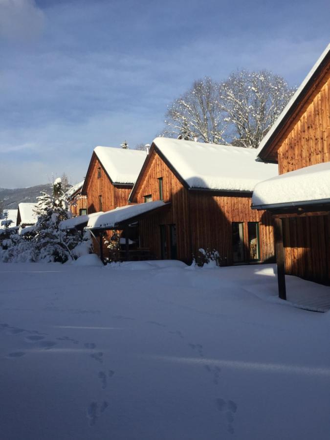 Alpenferienhaus Kreischberg Sankt Lorenzen ob Murau Εξωτερικό φωτογραφία