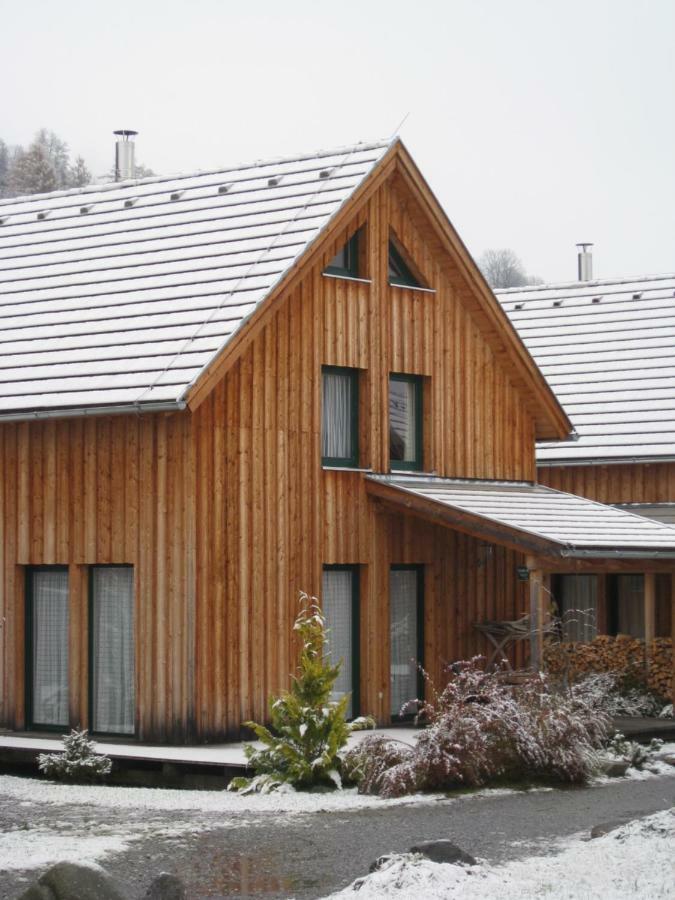 Alpenferienhaus Kreischberg Sankt Lorenzen ob Murau Εξωτερικό φωτογραφία